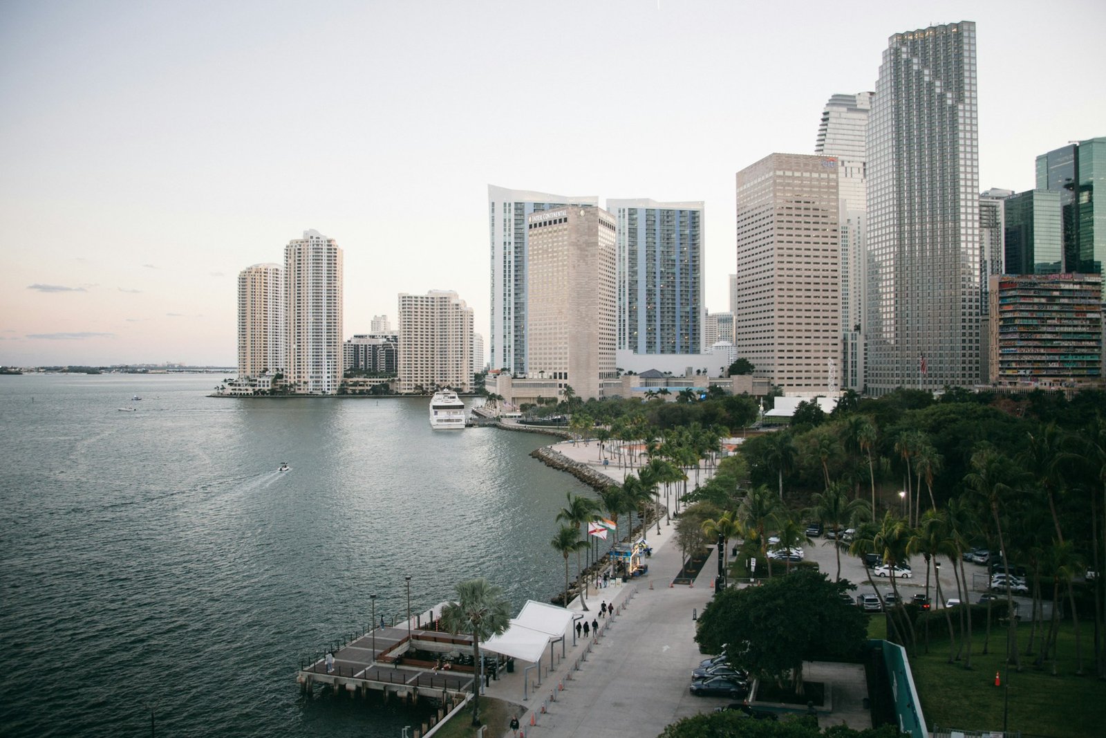 Paseo marítimo con palmeras y edificios del centro de Miami